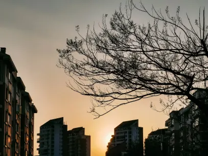 МегаРийл Казино Мобилно приложение